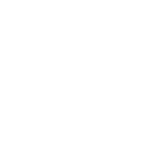 ico-digital-w